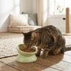 Ciotola Rialzata in Ceramica ad Ampio Diametro per Gatti Anti Ribaltamento Ciotola Alimentazione Gatti Protezione Cervicale