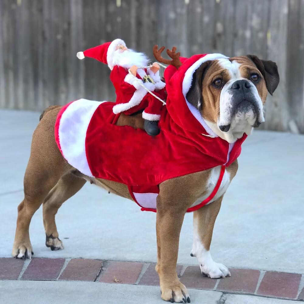 Santa Dog Costume Christmas Pet Clothes Santa Claus Riding Pet Costumes Party Dressing Up Dogs Cats Outfit