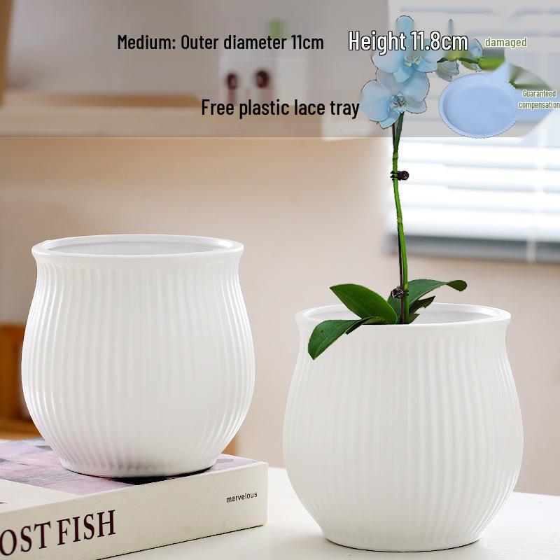 Elegant White Ceramic Flower Pot with Tray - Ideal for Ivy, Spider Plants, and Succulents
