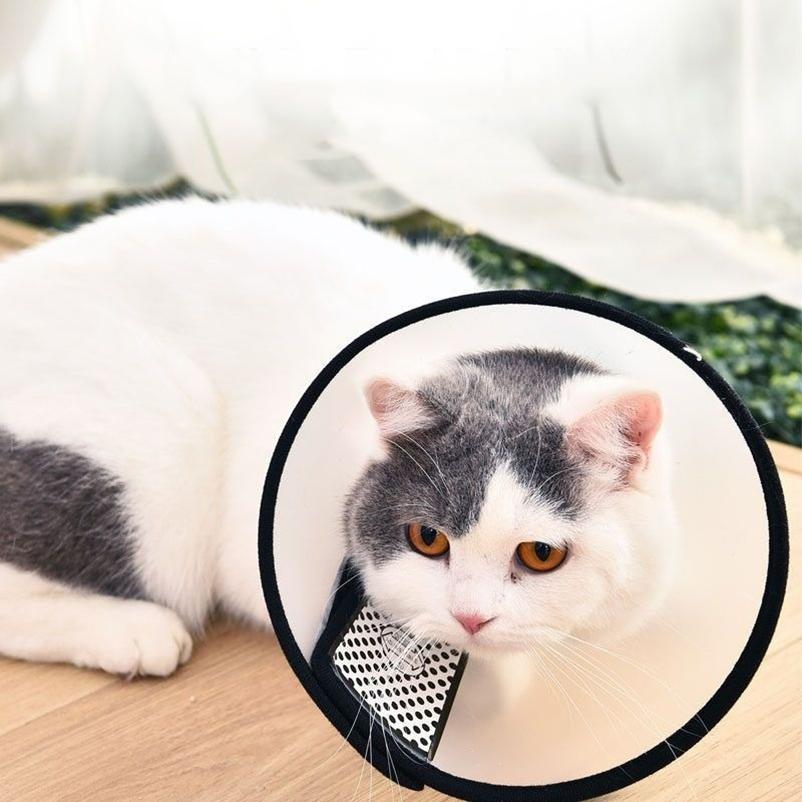 Prevent BiteTransparent Dog Cat Protection Cover Wound Healing Bath Grooming Cone Protective Pet Dog Medical Collar