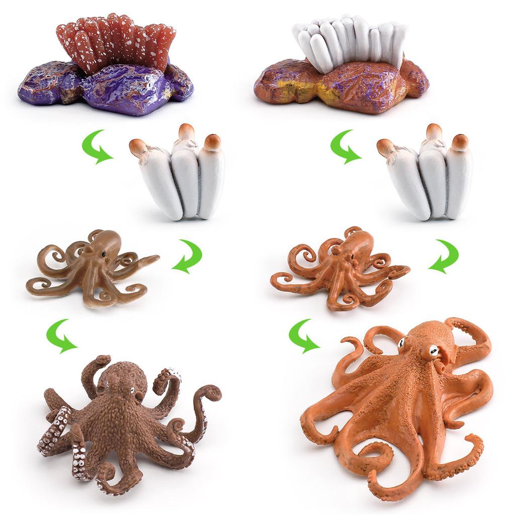 Childrens Educational Animal And Insect Growth Cycle Pvc Earthworm Octopus Model Set For Kids Learning And Activities