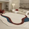 Irregular Shapes Living Room Decoration Carpet Modern Style Rugs for Bedroom Home Thicken Plush Rug Fluffy Soft Lounge Floor Mat