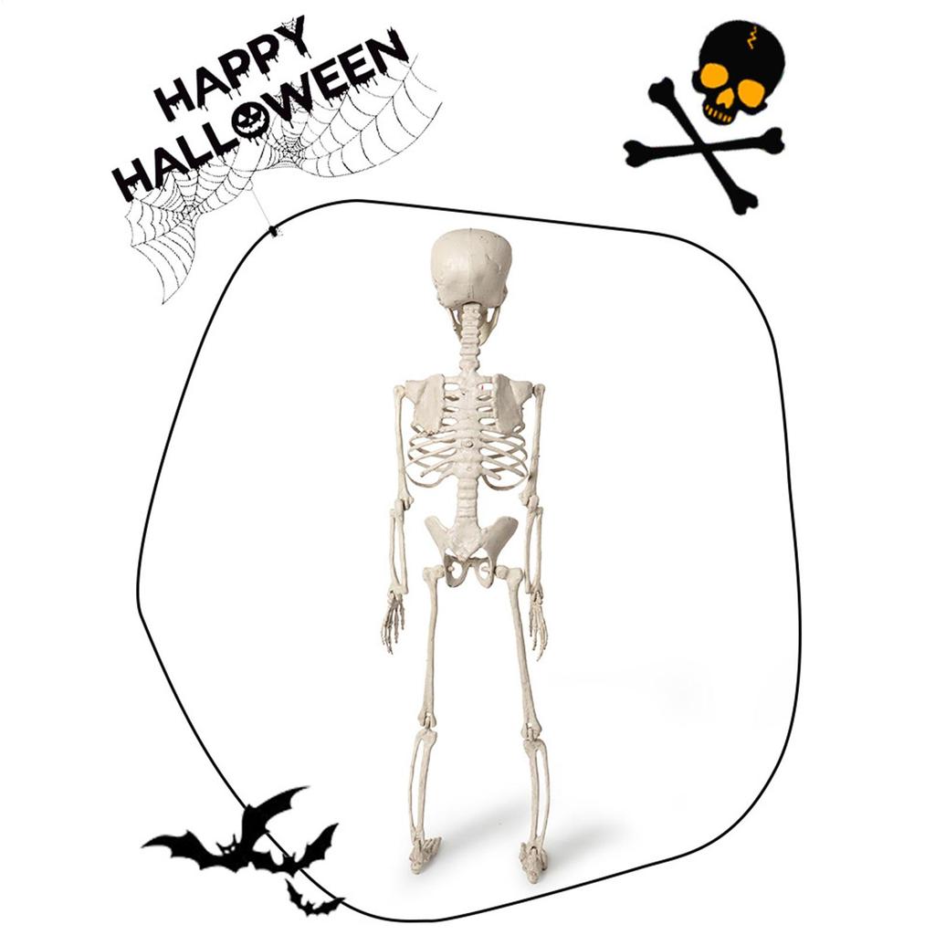 Skeletons For Halloween 2ft Halloween Outdoor Skeletons Human Bone Decorations Skull Props Foldable For Halloween Birthday