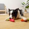 Carrot Squeaky Rubber Dog Toy for Puppy Teething and Entertainment