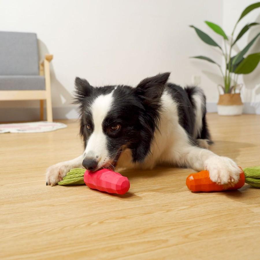 Carrot Squeaky Rubber Dog Toy for Puppy Teething and Entertainment