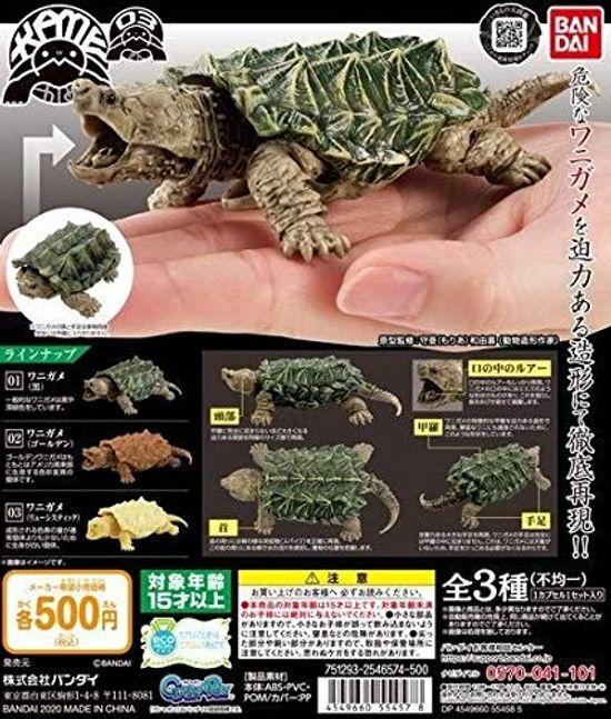 

Turtle 03 All 3 types full complete set Bandai reservation Crocodile turtle (including secret) [November item]