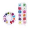 1Box Dried Flowers Dry Plants for Rsein Molds Fillings Epoxy Resin Pendant Tweezers Jewelry Making Craft DIY Nail Art Decoration