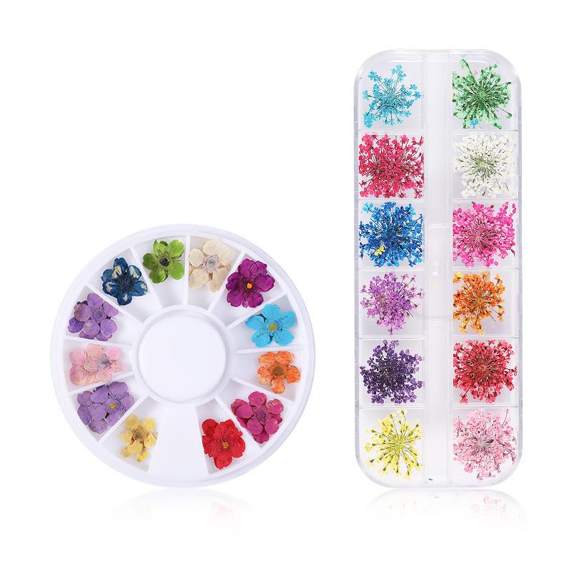 1Box Dried Flowers Dry Plants for Rsein Molds Fillings Epoxy Resin Pendant Tweezers Jewelry Making Craft DIY Nail Art Decoration