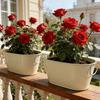 Rustic Iron Flower Pot Vintage Plant Pot Practical Metal  Planter  Windowsill