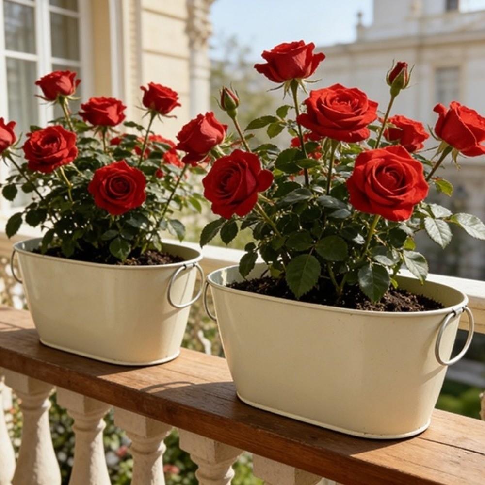Rustic Iron Flower Pot Vintage Plant Pot Practical Metal Planter Windowsill