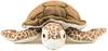 Colorata Loggerhead Sea Turtle Plush Toy (S Size/Soft Touch) Realistic Turtle Marine Animal Toy Doll Gift Present Birthday (Twice Checked) / Christmas