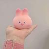 Mochi Squeeze Pinch Toy Pink Sakura Pig Vent Toys Cherry Blossom Pig  Party Favors