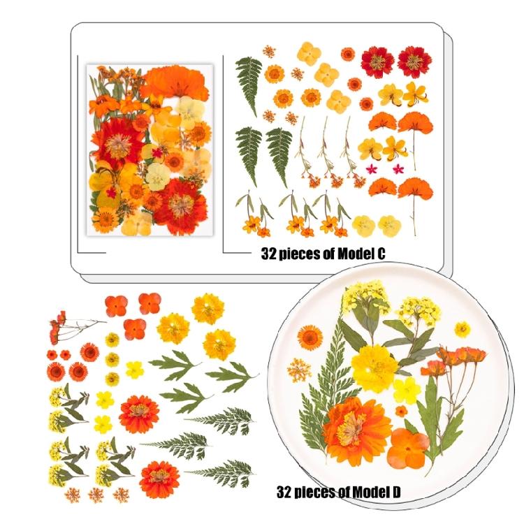 Sušené lisované květiny Umělecká řemesla Ozdobné potřeby Pro ruční výrobu záložek, svíček, šperků, scrapbooking