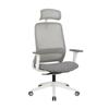 Office Chairs Carlie High Back Molded Foam Seat Ergonomic Office Chair In Grey