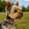 Pet Walking Dog Collar PU Leather Leopard Dog Collar Fashionable Pet Collar  Small Medium Dogs