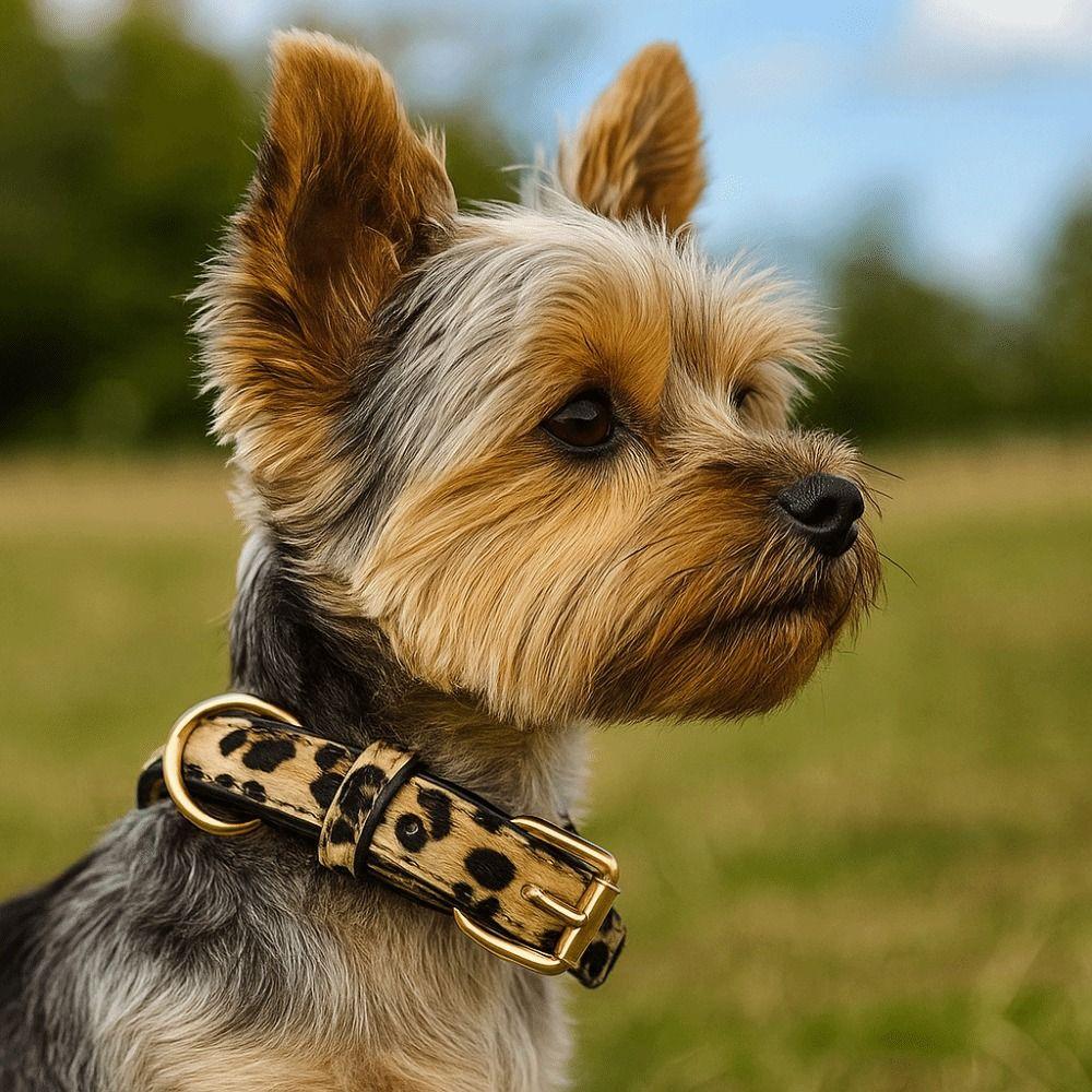 Pet Walking Dog Collar PU Leather Leopard Dog Collar Fashionable Pet Collar Small Medium Dogs