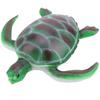 Simulation Animal Model Soft Sea Life Animals