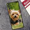 Yorkshire Terrier Dog Puppy Case For Samsung Galaxy S25 Ultra S20 S21 S22 S23 S9 S10 Plus S25 FE S24 Ultra Cover Coque
