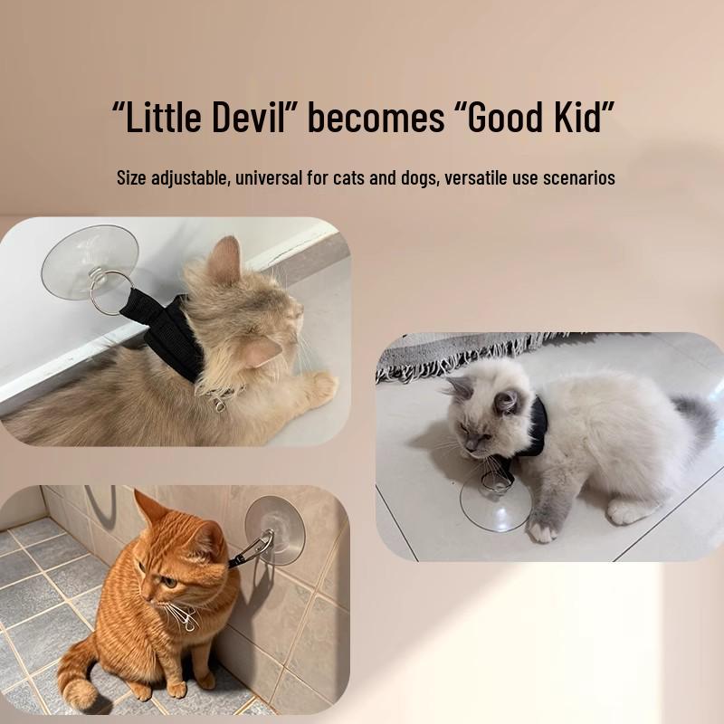 Haustier-Badefixierer: Verhindert Kratzer, Bisse & Kämpfe mit Einführungsrabatt!