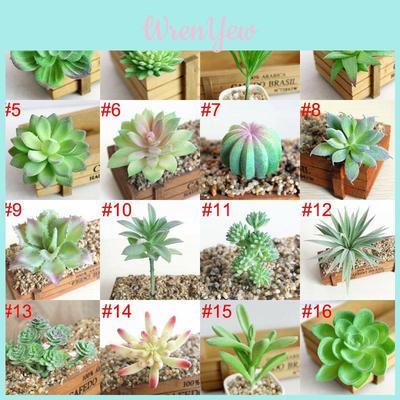 Compact Realistic-looking Fake Succulent For Indoor And Outdoor Decoration