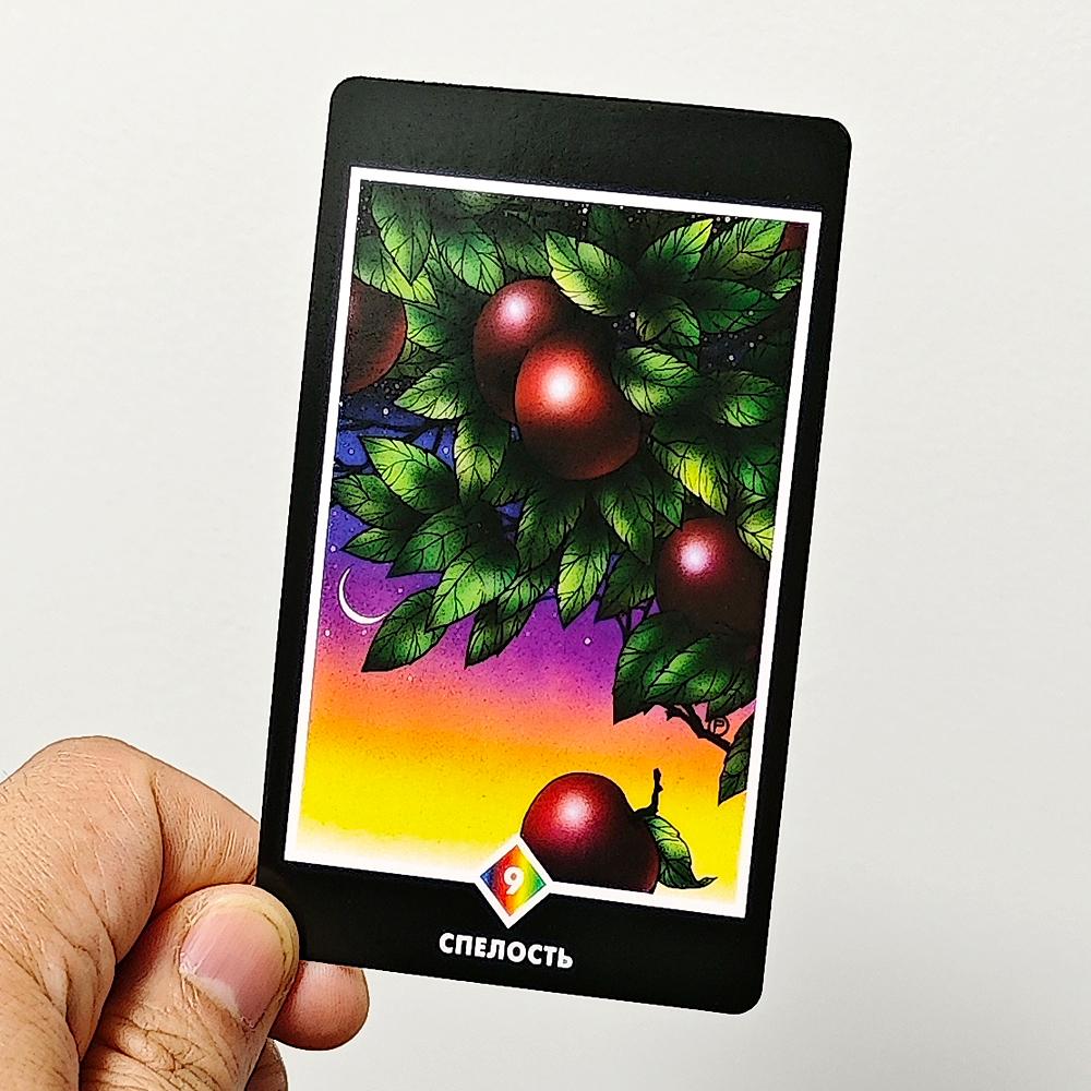 10.3*6cm Osho Zen Tarot Deck: The Transcendental Game of Zen 78 Pcs Tarot Cards In Russian Language