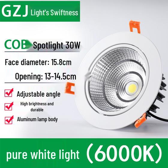 Recessed 20W Spotlight Downlight for Clothing Stores, 15-30W Commercial Ceiling Light