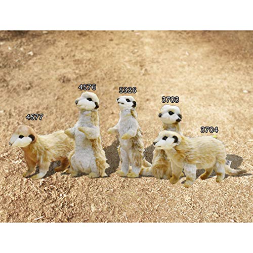BH5326 HANSA Meerkat 33