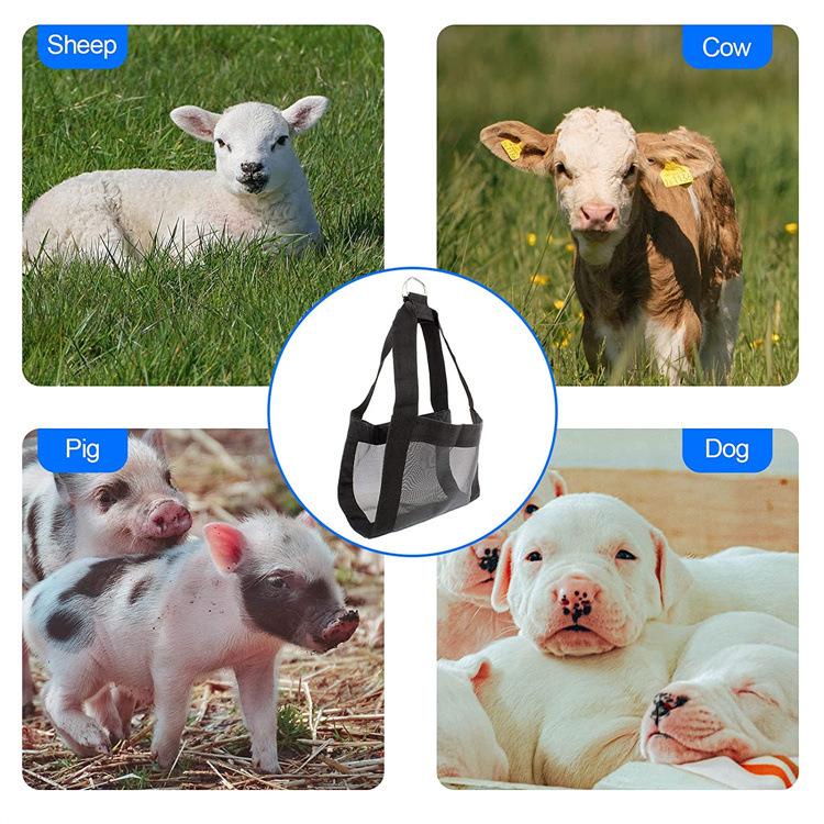 Cross-Border Livestock Weighing and Grooming Bag for Small Animals