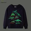 Boys' Luminous Dinosaur Hoodie: Autumn European & American Style Crew Neck, Bestseller Clothing for Kids
