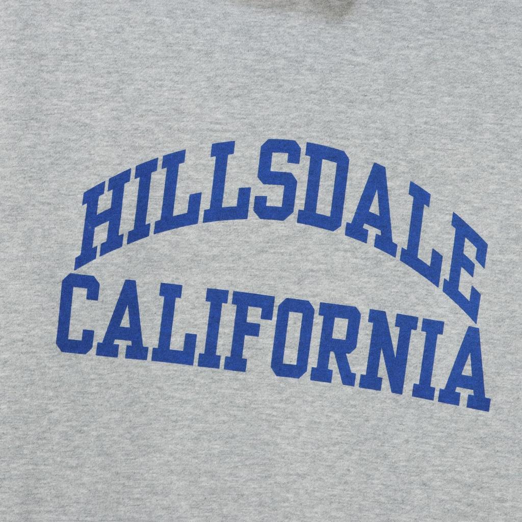 Champion Basic Long Sleeve Hooded Sweatshirt with Graphic Oxford Size XL Men's Fleece-Lined Print, Gray, (C3-Z108)