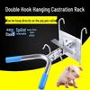 Piglet Castration Rack: Stainless Steel Suspension Table for Secure Pig Fixation During Castration