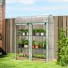 Small 3-Tier Greenhouse, 2 Roll-Up Doors, Steel Frame, Plastic Cover, 143 X 46 X 164 Cm, Transparent