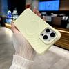 Apple 17 Pro Max Magnetic Phone Case, Liquid Silicone, Ripple Texture, Full Coverage, Anti-Drop, Fits Apple 16.