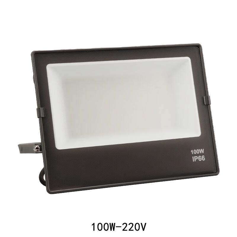 FFY 100W 220V LED Floodlight
