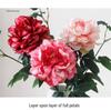 Peony Silk Flower Arrangement - Artificial Floral Decoration for Living Room and Dining Table