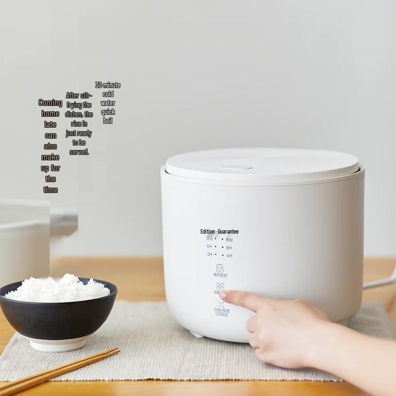 olayks Mini Multi-function Rice Cooker (2-3 Person) CN Plug (adapter Included)