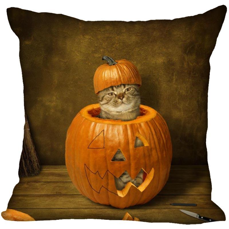 Bedroom Home Office Decor Pillowcase Square  Funny Cat Animal