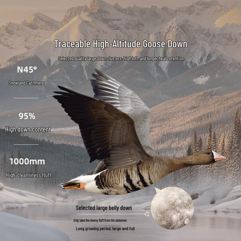 LUOLAI A-Grade 95% Washed Goose Down Winter Comforter