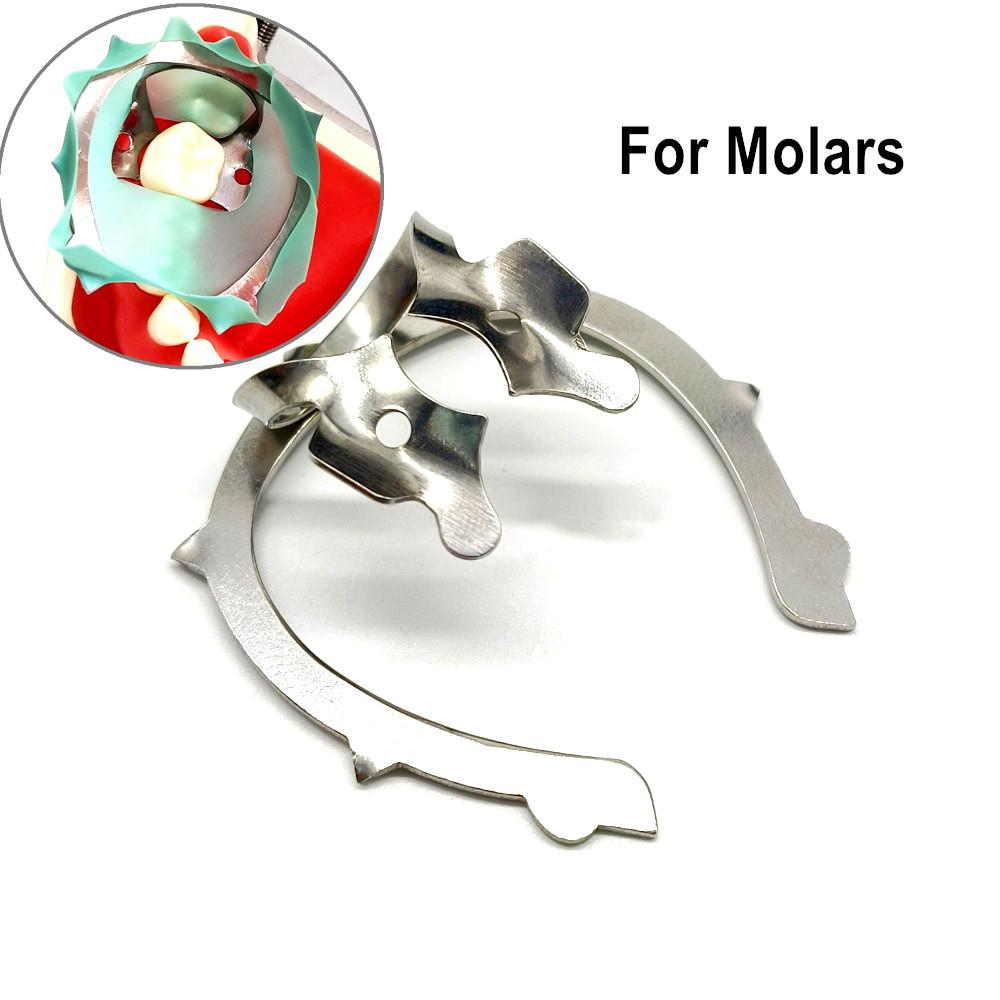 1 шт. или 2 шт. или 3 шт. Зажим для зубного коффердама Зажим для зубного коффердама с держателем для скобы 1 piece Molar