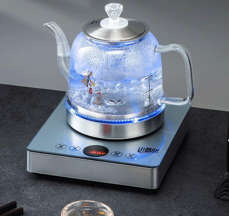Elektrischer Wasserkocher & Einzelkochfeld Glas-Teekocher mit integrierter Wasserpumpe für Zuhause