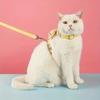 Decorazione Ape Piccola Imbracatura e Guinzaglio Regolabili Traspiranti per Gatti Collezione Imbracatura per Gatti con Decorazione Ape in Peluche Regolabile