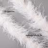 Ostrich Feather Strips for Dance Costumes, Formal Wear & Handmade Fashion Accessories