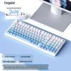 RuiYi F98 Wired 98-Key Mechanical Keyboard, Hot-Swappable, Side-Printed, Full-Key Anti-Ghosting, Office/Gaming.