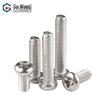 Guwanji 304 Stainless Steel Phillips Pan Head Machine Screws