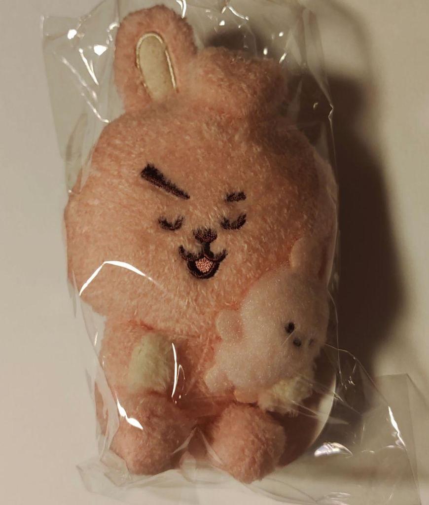 [USED] BT21 Hug Plush Toy COOKY BTS Jungkook