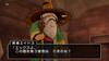Dragon Quest X Awakening of the Five Tribes Online (Wii version)