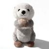 Plush Otter Toy With Short Plush Material For Kids And Gift Giving