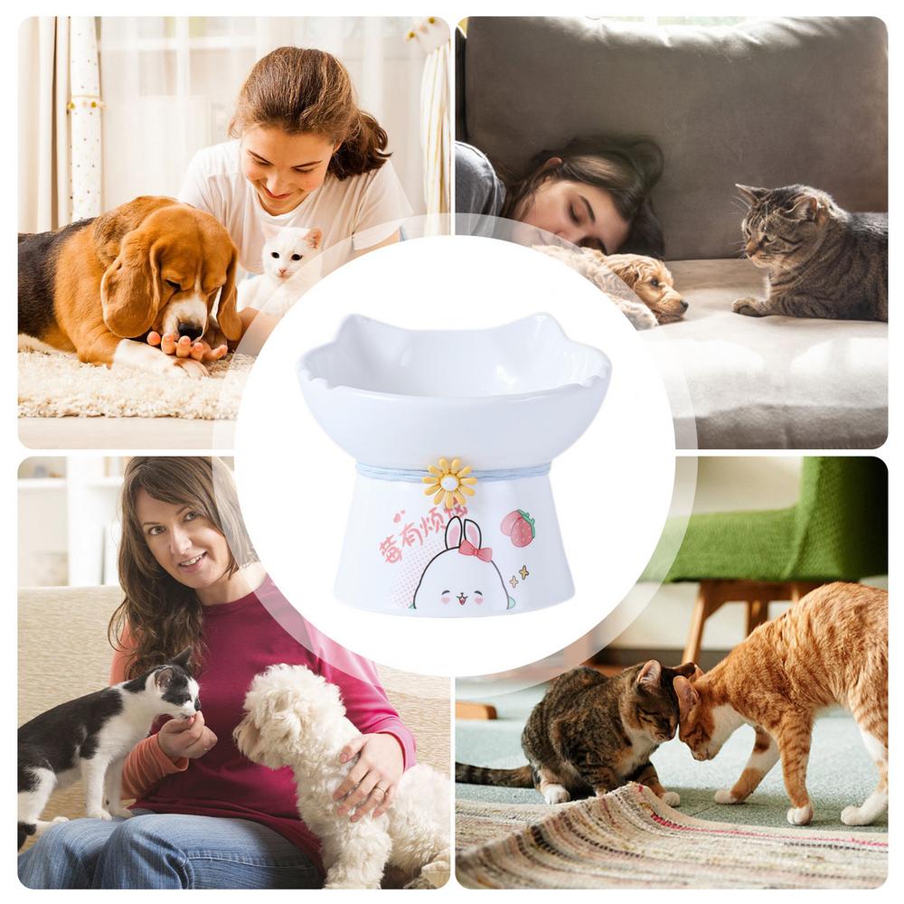 Elevated Cat Bowls Ceramic Cat Raised Food Bowl Tilted Cat Feeding Bowls Anti Vomit Cat Food Dish Whisker Friendly Pet Feeder
