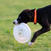 PH Šteniatko Frisbee Lietajúci disk 9080