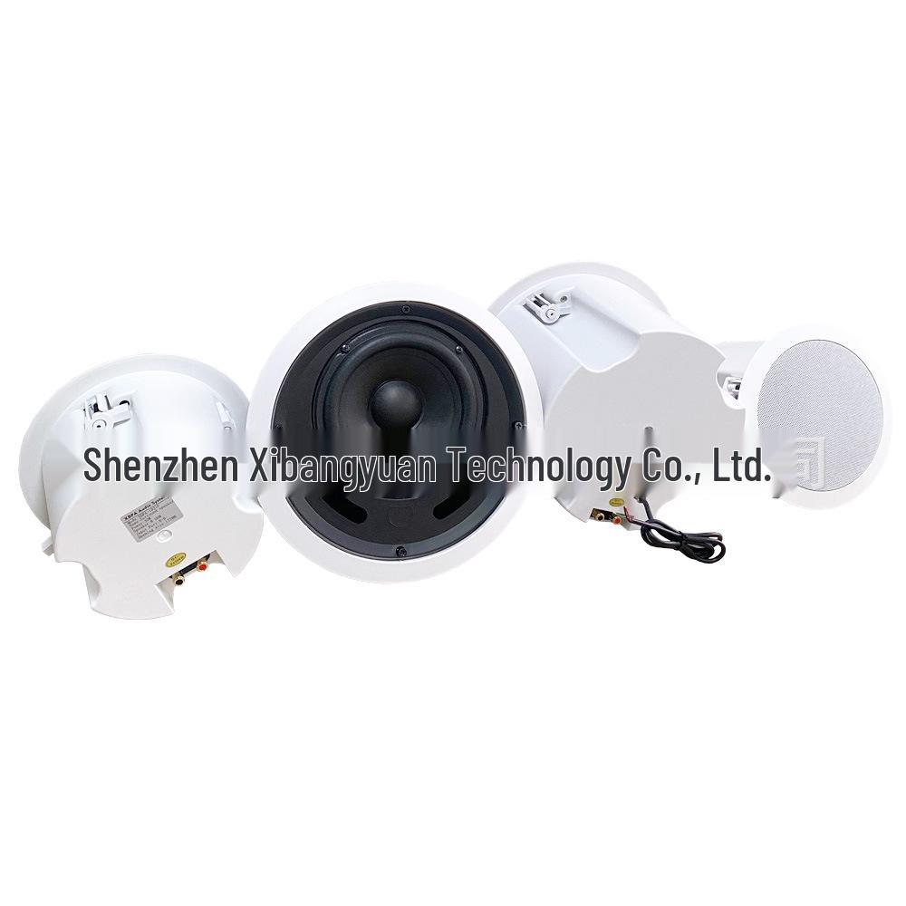 Wireless Ceiling Speaker with App Control and Multi-Room Stereo Sync